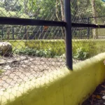 पटना चिड़ियाघर: रोमांच, सुविधा और हरियाली का नया संगम।