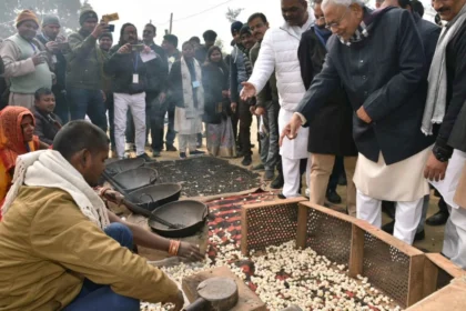 इस शीर्षक को एक नया, आकर्षक और आकर्षक रूप में बदलें और केवल एक ही परिणाम दें: bihar makhana production will increase with seeds like swarn vaidehi and sabaur makhana 1