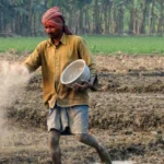 पीएम किसान 21वीं किस्त: क्या दिवाली 2025 से पहले आपके खाते में आएंगे ₹2000?