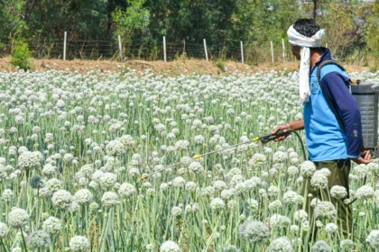 हिमाचल: 2.2 लाख से अधिक किसान, हरियाली की ओर प्राकृतिक क्रांति