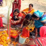 तुलसी विवाह: कार्तिक की पावन एकादशी पर लक्ष्मी-विष्णु की कृपा का महा-संयोग!