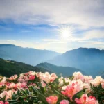 सरलपारा: असम का वो छिपा स्वर्ग, जहाँ प्रकृति से होगा आपका वीकेंड एडवेंचर!