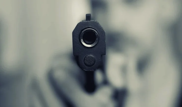 रक्त-रंजित आँगन: टेक्सास की मां ने अपनी ही कोख के चारों चिराग बुझाए, दो की जान गई