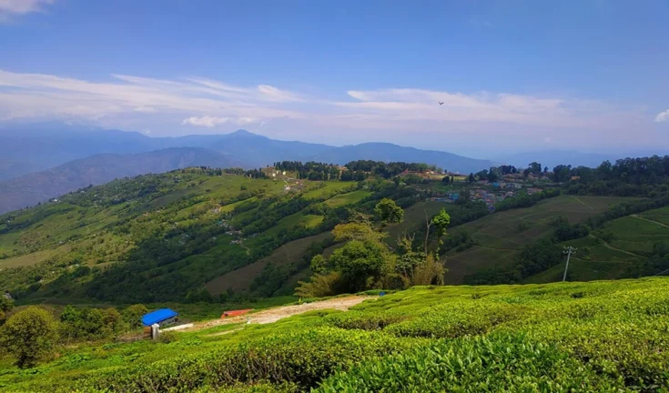 विश्वास का खज़ाना: नागालैंड का वो गाँव जहाँ आज भी चोरी-धोखाधड़ी नहीं, बस ईमानदारी चलती है!
