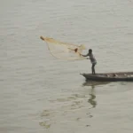 पुणे में अवैध अफ्रीकी मछली पालन पर चला प्रशासन का डंडा, 2.4 टन भंडार नष्ट