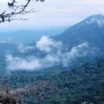 हिमाचल का 'कौमिक' गांव: जहां चांदनी रातें बुनती हैं रोमांच और खूबसूरती की अनूठी दास्तां