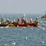 गहरे समुद्र में मछली पकड़ना: नए नियमों से मछुआरों को मिलेंगे नए अवसर।