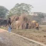 फरीदाबाद में किराए के मकान से मिला गोला-बारूद, कश्मीर का डॉक्टर गिरफ्तार