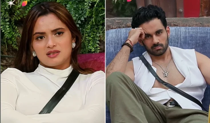 बिग बॉस 19: क्या नीलम और अभिषेक का बाहर होना गेम-चेंजर है?