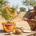 जया एकादशी 2026: तुलसी के इन चमत्कारी उपायों से बरसेगा अपार धन, चमक उठेगी सोई हुई किस्मत!