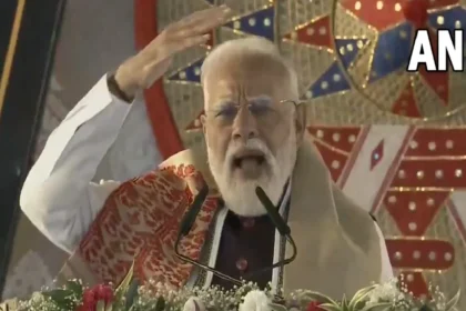 असम के काजीरंगा में नमो का नारा: 'मुंबई में विजय का जश्न, असम के साथ'