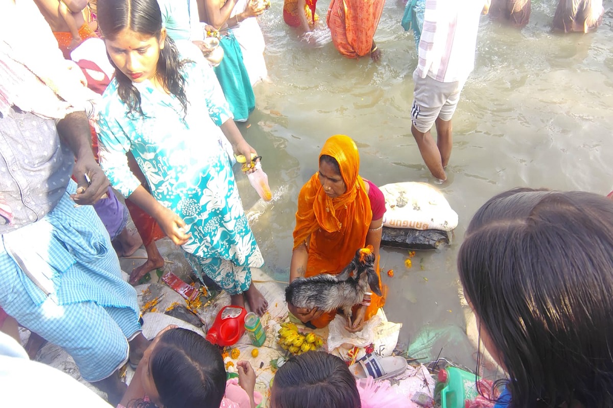 राजमहल में 'ट्राइबल महाकुंभ' का भव्य नजारा: उत्तर वाहिनी गंगा में उमड़ा आस्था का सैलाब, मरांग बुरू के जयकारों के साथ हुआ दिव्य जलाभिषेक