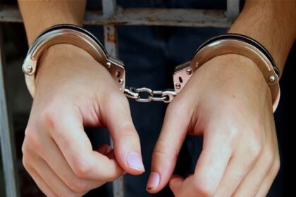 अमेरिका में 35 साल से रह रही भारतीय मूल की महिला को आईसीई ने हिरासत में लिया