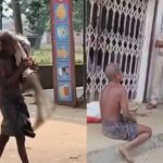 ओडिशा: सबूत के तौर पर बहन का कंकाल लेकर बैंक पहुंचा भाई, देखकर हर कोई रह गया हैरान