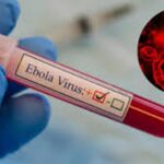 इबोला का खौफनाक तांडव: WHO ने किया 'ग्लोबल इमरजेंसी' का ऐलान, दुनिया पर मंडराया बड़ा संकट!