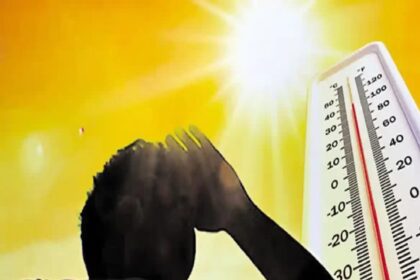 राजस्थान मौसम अपडेट: इस दिन से प्रदेश में पड़ेगी भीषण गर्मी, 46 डिग्री तक पहुंचेगा तापमान, अलर्ट जारी