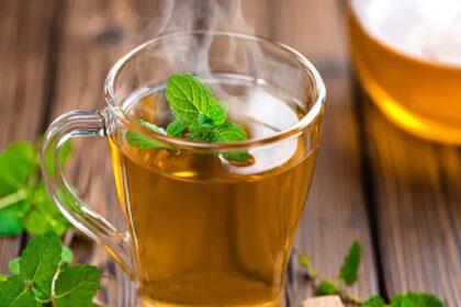 हेल्थ टिप्स: इस तरह करें ग्रीन टी का सेवन, सेहत को होंगे ये फायदे