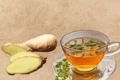 हेल्थ टिप्स: मानसून में बीमारियों को दूर रखेगा ये घरेलू काढ़ा, ऐसे बनाएं