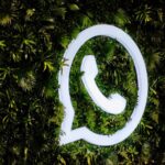 WhatsApp टिप्स: इस सेटिंग के ऑन होने पर आप HD फोटो शेयर कर पाएंगे, तुरंत करें काम