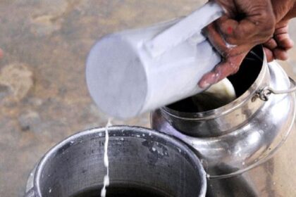घर पर कैसे जांचें कि दूध में पानी मिला है या नहीं?