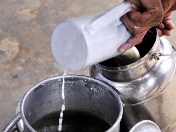 घर पर कैसे जांचें कि दूध में पानी मिला है या नहीं?