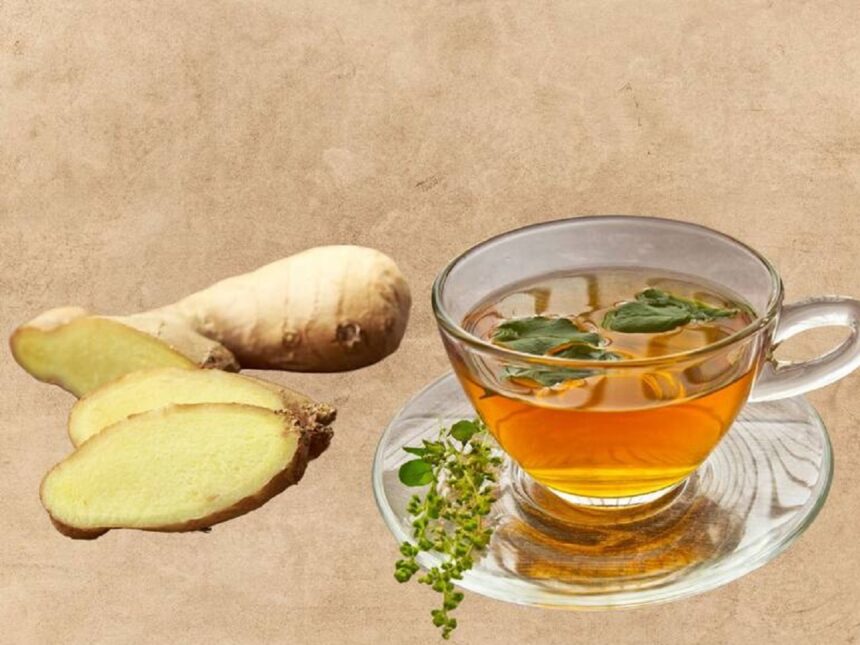 हेल्थ टिप्स: मानसून में बीमारियों को दूर रखेगा ये घरेलू काढ़ा, ऐसे बनाएं