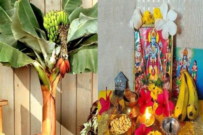 गुरुवार पूजा: आप भी गुरुवार के दिन इस विधि से करें केले के पेड़ की पूजा, बढ़ जाएंगे विवाह के योग