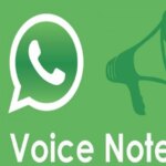 टेक टिप्स: WhatsApp पर वॉयस नोट्स भेजने से पहले इन बातों का रखें ध्यान