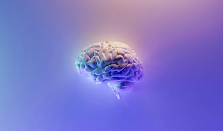World Brain Day 2026: मॉडर्न लाइफस्टाइल और तनाव को दें मात, इन खास टिप्स से अपने दिमाग को बनाएं 'सुपर-शार्प' और हमेशा एक्टिव!