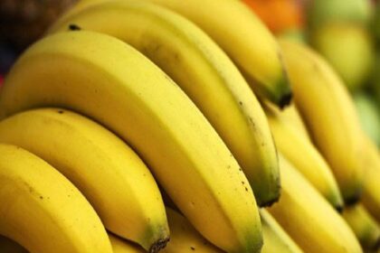 हेल्थ टिप्स: अगर आप भी रोज खाते हैं एक केला तो मिलते हैं इससे इतने फायदे