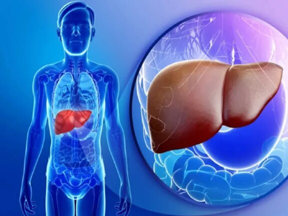 हेल्थ टिप्स: लीवर के लिए हानिकारक हैं ये चीजें, बनाएं दूरी