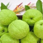 हेल्थ टिप्स: सेहत के लिए बेहद फायदेमंद है अमरूद, रोजाना खाने से मिलते हैं ये फायदे