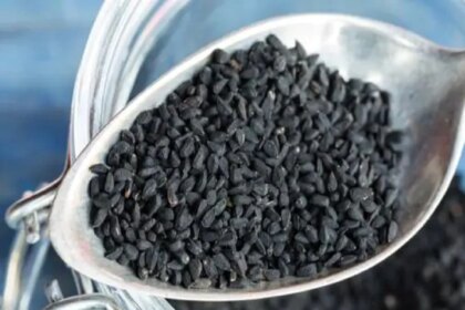 हेल्थ टिप्स: सेहत के लिए वरदान से कम नहीं हैं कलौंजी, ऐसे करें सेवन
