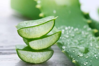 हेल्थ टिप्स: एलोवेरा सेहत के लिए कई तरह से फायदेमंद है
