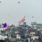 दिल्ली में मांझे का कहर, 15 अगस्त को 800 से ज्यादा पक्षी घायल, करीब 10 फीसदी की दर्दनाक मौत