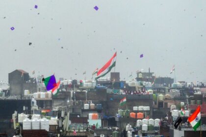 दिल्ली में मांझे का कहर, 15 अगस्त को 800 से ज्यादा पक्षी घायल, करीब 10 फीसदी की दर्दनाक मौत