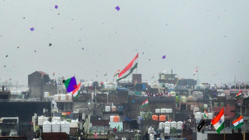 दिल्ली में मांझे का कहर, 15 अगस्त को 800 से ज्यादा पक्षी घायल, करीब 10 फीसदी की दर्दनाक मौत