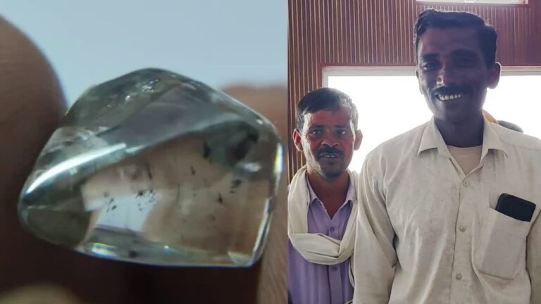 पन्ना में सात मजदूरों की चमकी किस्मत, मिला 16.96 कैरेट का बेशकीमती हीरा; 50 लाख तक हो सकती है कीमत