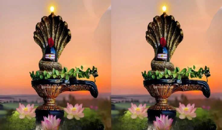 नाग पंचमी 2026: कालसर्प दोष से मुक्ति का महासंयोग, जानें नाग देवता को प्रसन्न करने की अचूक पूजा विधि