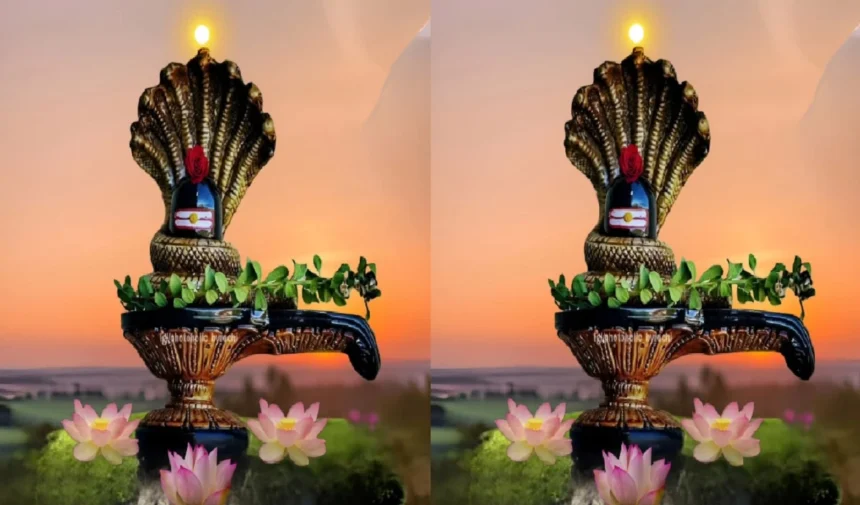 नाग पंचमी 2026: कालसर्प दोष से मुक्ति का महासंयोग, जानें नाग देवता को प्रसन्न करने की अचूक पूजा विधि