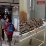 रीवा अस्पताल में मृत घोषित मरीज में दिखे जीवन के संकेत, शव वाहन भी हो चुका था बुक