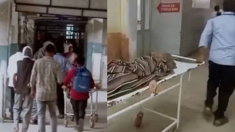 रीवा अस्पताल में मृत घोषित मरीज में दिखे जीवन के संकेत, शव वाहन भी हो चुका था बुक