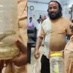 सांप ने काटा तो जिंदा कोबरा लेकर अस्पताल पहुंची युवती, डॉक्टरों-मरीजों में मचा हड़कंप