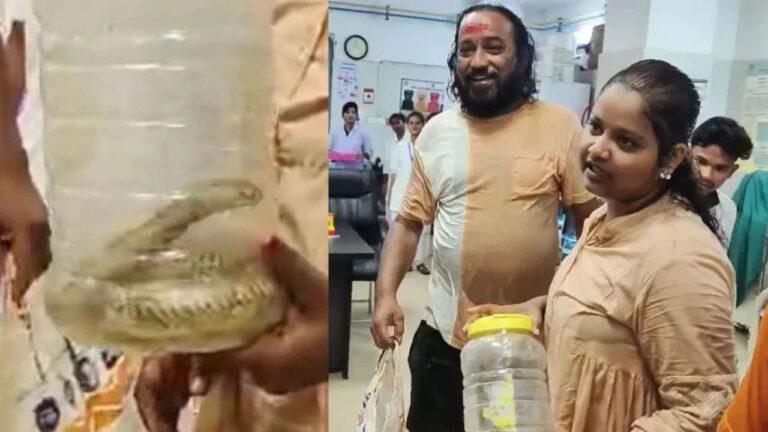 सांप ने काटा तो जिंदा कोबरा लेकर अस्पताल पहुंची युवती, डॉक्टरों-मरीजों में मचा हड़कंप